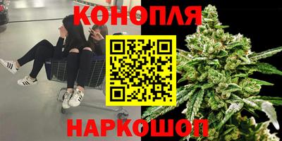 прущие грибы Рязань