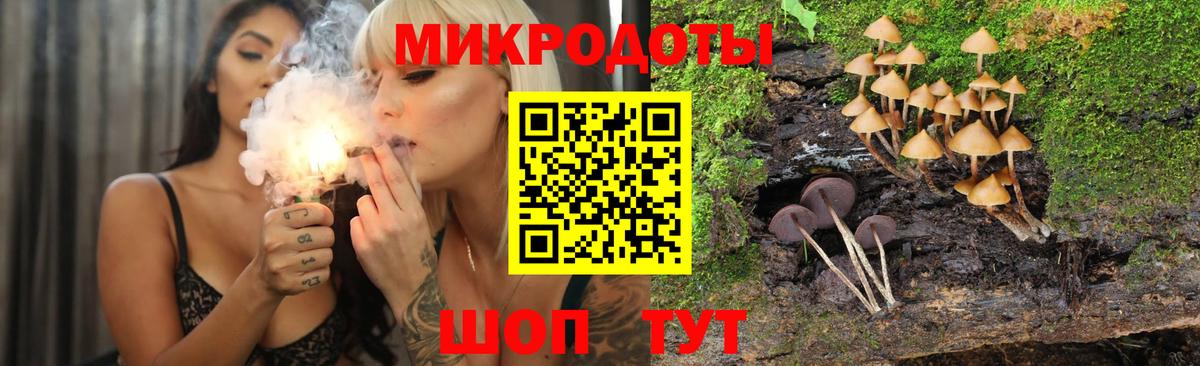 Галлюциногенные грибы Cubensis Тула